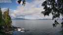 ./images/koeye/fitz-hugh/20250619/fitz-hugh20250619_090012M.jpg