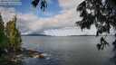 ./images/koeye/fitz-hugh/20250619/fitz-hugh20250619_090510M.jpg