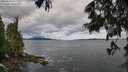 ./images/koeye/fitz-hugh/20250619/fitz-hugh20250619_091510M.jpg