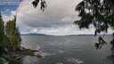 ./images/koeye/fitz-hugh/20250619/fitz-hugh20250619_092510M.jpg