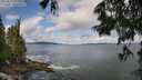 ./images/koeye/fitz-hugh/20250619/fitz-hugh20250619_095011M.jpg