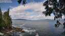 ./images/koeye/fitz-hugh/20250619/fitz-hugh20250619_100012M.jpg