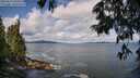 ./images/koeye/fitz-hugh/20250619/fitz-hugh20250619_100510M.jpg
