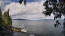./images/koeye/fitz-hugh/20250619/fitz-hugh20250619_101011M.jpg