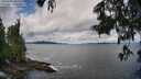 ./images/koeye/fitz-hugh/20250619/fitz-hugh20250619_101513M.jpg