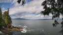 ./images/koeye/fitz-hugh/20250619/fitz-hugh20250619_102508M.jpg