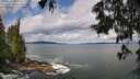 ./images/koeye/fitz-hugh/20250619/fitz-hugh20250619_103010M.jpg