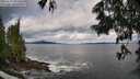 ./images/koeye/fitz-hugh/20250619/fitz-hugh20250619_103511M.jpg
