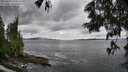 ./images/koeye/fitz-hugh/20250619/fitz-hugh20250619_104511M.jpg