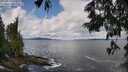 ./images/koeye/fitz-hugh/20250619/fitz-hugh20250619_110013M.jpg