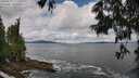 ./images/koeye/fitz-hugh/20250619/fitz-hugh20250619_111010M.jpg