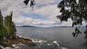 ./images/koeye/fitz-hugh/20250619/fitz-hugh20250619_111509M.jpg