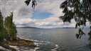 ./images/koeye/fitz-hugh/20250619/fitz-hugh20250619_112009M.jpg