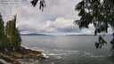 ./images/koeye/fitz-hugh/20250619/fitz-hugh20250619_114010M.jpg