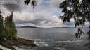 ./images/koeye/fitz-hugh/20250619/fitz-hugh20250619_115010M.jpg