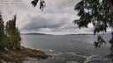 ./images/koeye/fitz-hugh/20250619/fitz-hugh20250619_115510M.jpg