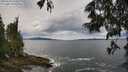 ./images/koeye/fitz-hugh/20250619/fitz-hugh20250619_120509M.jpg