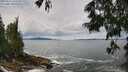 ./images/koeye/fitz-hugh/20250619/fitz-hugh20250619_121511M.jpg