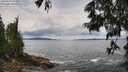 ./images/koeye/fitz-hugh/20250619/fitz-hugh20250619_123011M.jpg