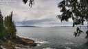 ./images/koeye/fitz-hugh/20250619/fitz-hugh20250619_123510M.jpg