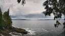./images/koeye/fitz-hugh/20250619/fitz-hugh20250619_124510M.jpg