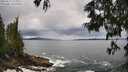 ./images/koeye/fitz-hugh/20250619/fitz-hugh20250619_125010M.jpg