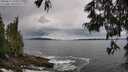 ./images/koeye/fitz-hugh/20250619/fitz-hugh20250619_125510M.jpg