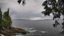 ./images/koeye/fitz-hugh/20250619/fitz-hugh20250619_130509M.jpg