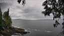 ./images/koeye/fitz-hugh/20250619/fitz-hugh20250619_131509M.jpg