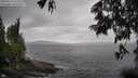 ./images/koeye/fitz-hugh/20250619/fitz-hugh20250619_132510M.jpg