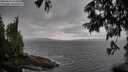 ./images/koeye/fitz-hugh/20250619/fitz-hugh20250619_133011M.jpg
