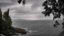 ./images/koeye/fitz-hugh/20250619/fitz-hugh20250619_134010M.jpg