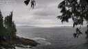 ./images/koeye/fitz-hugh/20250619/fitz-hugh20250619_134509M.jpg