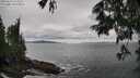 ./images/koeye/fitz-hugh/20250619/fitz-hugh20250619_135009M.jpg