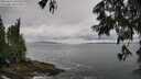 ./images/koeye/fitz-hugh/20250619/fitz-hugh20250619_140509M.jpg
