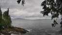 ./images/koeye/fitz-hugh/20250619/fitz-hugh20250619_141010M.jpg