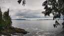 ./images/koeye/fitz-hugh/20250619/fitz-hugh20250619_142510M.jpg