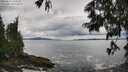 ./images/koeye/fitz-hugh/20250619/fitz-hugh20250619_143011M.jpg