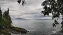 ./images/koeye/fitz-hugh/20250619/fitz-hugh20250619_143508M.jpg