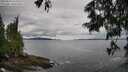 ./images/koeye/fitz-hugh/20250619/fitz-hugh20250619_144510M.jpg