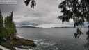 ./images/koeye/fitz-hugh/20250619/fitz-hugh20250619_145011M.jpg