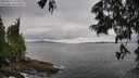 ./images/koeye/fitz-hugh/20250619/fitz-hugh20250619_145510M.jpg