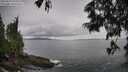 ./images/koeye/fitz-hugh/20250619/fitz-hugh20250619_150510M.jpg