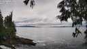 ./images/koeye/fitz-hugh/20250619/fitz-hugh20250619_154012M.jpg
