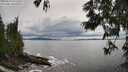 ./images/koeye/fitz-hugh/20250619/fitz-hugh20250619_161511M.jpg