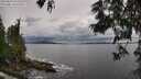 ./images/koeye/fitz-hugh/20250619/fitz-hugh20250619_162510M.jpg