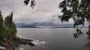 ./images/koeye/fitz-hugh/20250619/fitz-hugh20250619_163012M.jpg