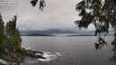 ./images/koeye/fitz-hugh/20250619/fitz-hugh20250619_163508M.jpg