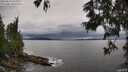 ./images/koeye/fitz-hugh/20250619/fitz-hugh20250619_164010M.jpg