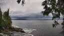 ./images/koeye/fitz-hugh/20250619/fitz-hugh20250619_164510M.jpg